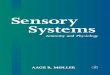 Sensory Systemspreview.kingborn.net/528000/9e5399f3923643baa8514cdaa3cdeb63.pdf · Sensovy Systems ANATOMY AND PHYSIOLOGY Aage R. Maller School of Human Development Callier Center