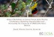 «Expert Workshop on Green Forest Jobs: Facing Challenges ... · «Expert Workshop on Green Forest Jobs: Facing Challenges, Exploring Opportunities and increasing the Capacity of