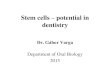 Stem cells potential in dentistry - Semmelweis Egyetemsemmelweis.hu/oralbiologia/files/2016/02/16-Stem-cells-Varga-Oral... · - Embryonic stem cells - pluripotent - Adult/postnatal