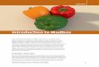 Introduction to Mudbox - Elsevier · 2013-12-20 · Introduction to Mudbox CHAPTER 2 f you I are familiar with Maya, 3ds Max, Cinema 4Dor , any other three-dimensional (3D) program,