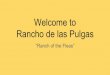 Welcome to Rancho de las Pulgas · The year was 1795 Governor Diego de Borica issues Jose Dario Argüello a Spanish land grant, the Rancho de las Pulgas (Ranch of the Fleas). This