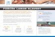 FORCED LABOR SLAVERY - International Justice Mission · modern slavery is a child.3 There are an estimated 40.3 million people held in slavery today.2 GHANA INVESTIGATION, 2014 IJM