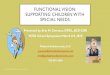FUNCTIONAL VISION: SUPPORTING CHILDREN WITH SPECIAL … · FUNCTIONAL VISION: SUPPORTING CHILDREN WITH SPECIAL NEEDS Presented by: Erin M. Clemens, OTR/L, BCP, CIMI ... NORMAL FUNCTIONAL