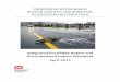 SKOKOMISH RIVER BASIN MASON COUNTY, WASHINGTON · PDF file Skokomish River Basin Ecosystem Restoration Table of Contents Feasibility Report / Environmental Impact Statement Page ii