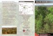 forestry.ohiodnr.govforestry.ohiodnr.gov/portals/forestry/pdfs/SF/bluerock.pdf · Created Date: 1/31/2017 12:58:43 PM