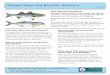 Striped Bass and Bluefish Advisory - Maine · As striped bass and bluefish migrate up and down the East Coast, they pick up PCBs from eating other fish. This is especially true for