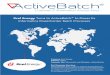 Xcel Energy Turns to ActiveBatch to Power Its Informatica PowerCenter … · 2015-09-14 · Informatica PowerCenter Batch Processes . For Xcel Energy, finding a reliable, enterprise-wide