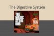 The Digestive System - Weeblythomsonmachigh.weebly.com/.../digestive_system_notes.pdfWhat is the digestive system? The digestive system is where the digestion of food and liquids occurs