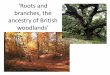 Roots and branches, the ancestry of British woodlands · quasi-paratropical forest with a high diversity ... (Pinus, Doliostrobus, Cephalotaxus) 3. Polar deciduous to mixed mesophytic