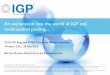 An exploration into the world of IGP and …...An exploration into the world of IGP and multinational pooling.... 2016 IGP Regional EMEA Employee Benefits Seminar Windsor (UK), 24