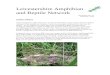 Leicestershire Amphibian and Reptile Network Web view Leicestershire Amphibian and Reptile Network Newsletter