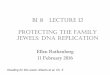 Bi 8 Lecture 12 PrOtectiNG tHe FAMiLY JeWeLS: DNA …bi8/Lect12-Bi8-2016.pdfBi 8 Lecture 12 PrOtectiNG tHe FAMiLY JeWeLS: DNA rePLicAtiON Ellen Rothenberg 11 February 2016 . Reading