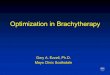 Optimization in Brachytherapy - American Association of … · 2005-10-18 · Examples of brachytherapy optimizationExamples of brachytherapy optimization • HDR brachytherapy -