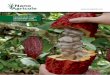 NOVELTY AND ADVANTAGES OF NANOAGRICOLEimages.agri-profocus.nl/upload/product/1_ENG_Brochure... · 2016-10-24 · 4 Concentrated chelate microfertilizer with biostimulant complex NANOAGRICOLE