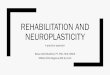 REHABILITATION AND NEUROPLASTICITY...Objective Apply neuroplasticity principles to design a rehabilitation patient-centered evidence-based plan of care that maximizes restorative potentialOutline