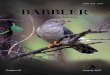 BABBLER · 2018-09-26 · BABBLER Journal of BirdLife Botswana Number 60 ISSN 1012 - 2974 Cover Design by: Impression House Printing by Impression House January 2015 BABBLER Journal