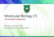 Molecular Biology (7) - JU Medicine · PDF file 2019-02-20 · Molecular Biology (7) Transcription-Regulation Mamoun Ahram, PhD Second semester, 2018-2019 1. The lac operon 2. Metabolism