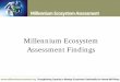 Millennium Ecosystem Assessment Findingsawsassets.wwf.no/downloads/millennium_ecosyst... · Direct Drivers Indirect Drivers Ecosystem Services Human Well-being Direct Drivers of Change