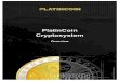 180323 PlatinCoin Overview EN V1...for the creation of new coins. After payment of the PLC Secure Box, the owner will be supplied with it. The guarantee of a 10% profit on a yearly