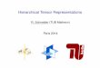 Hierarchical Tensor Representationscermics.enpc.fr/~ehrlachv/Workshop/HighDim/Slides/Schneider.pdf · Acknowledgment DFG Priority program SPP 1324 Extraction of essential information