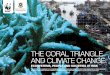 THE CORAL TRIANGLE AND CLIMATE CHANGE · 2012-01-03 · THE CORAL TRIANGLE AND CLIMATE CHANGE Unfortunately, the relationship between people and coastal ecosystems is now under extreme