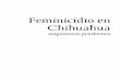 Feminicidio en Chihuahua - Comisión Mexicana de Defensa y ...cmdpdh.org/publicaciones-pdf/cmdpdh-feminicidio-en-chihuahua-asignaturas-pendientes.pdflo que a su interés convenga,