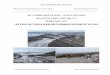 2017 FEBRUARY FLOOD – ELKO, NEVADA …...community as a whole to be better prepared, to mitigate and respond to similar catastrophic incidents. This improvement plan is intended