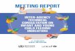 MEETING REPORT - World Health Organization...consultation, leading report writing process and providing inputs to the draft report; Laurence Grummer-Strawn (WHO Headquarters), for