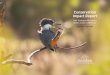Conservation Impact Report - Audubon Minnesota ... 8 | Audubon MinnesotA iMpAct RepoRt 2017 river conservAtion