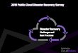 Disaster Recovery 2015 Survey - CloudEndure · 2016-08-17 · 2015 Public Cloud Disaster Recovery Survey!!!!! !! Disaster Recovery Challenges and Best Practices