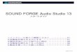 SOUND FORGE Audio Studio 13a1763.g. · PDF file 2019-04-18 · 7.sound forge pro 13のメイン 画面上部 に ある[ オプション ]を クリック し、 メニュ ー内の[