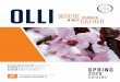 WELCOME TO OUR SPRING 2020 CATALOG! · 2020-02-26 · 2 SPRING 2020 WELCOME TO OUR SPRING 2020 CATALOG! Donna Munch OLLI member since Summer 2019 Why she loves OLLI: I love OLLI because