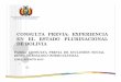 Consulta Previa Experiencia en el Estado Plurinacional de ...€¦ · ANTECEDENTES Bolivia ratifica el Convenio Núm. 169 de la OIT en 1991. En 1994 la reforma constitucional reconoce