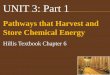 UNIT 3: Part 1€¦ · The coupling is called chemiosmosis—diffusion of protons across a membrane, which drives the synthesis of ATP. Chemiosmosis converts potential energy of a