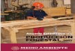 ANUARIO ESTADÍSTICO DE LA PRODUCCIÓN FORESTAL · 2020-03-21 · 6 ANUARIO ESTADÍSTICO DE LA PRODUCCIÓN FORESTAL 2017. de la balanza comercial de productos forestales. La DGGFS