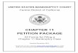 CHAPTER 11 PETITION PACKAGE - United States Courts...This Chapter 11 Petition Package includes the basic information and forms required to file a voluntary chapter 11 bankruptcy case