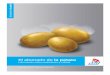 El abonado de la patata - K+S KALI GmbH...180 160 140 120 100 80 n=2 n=2 n=10 n=13 Rendimiento y calidad: La importancia de un abonado correcto 3 Rendimiento y calidad son los factores
