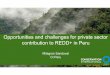 28 Enero2016 Opportunities and challenges for private ...redd.ffpri.affrc.go.jp/events/seminars/_img/_20171116/3_Milagros.pdf · ACAC/ProAsocio • Private partnership with coffee