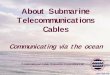 About Submarine Telecommunications Cables · ~Assessment of potential impacts of cable laying on environment ~Full survey of route & its final selection ~Design cable to meet environmental