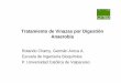 Tratamiento de Vinazas por Digestión Anaerobianest.unifei.edu.br/portugues/pags/novidades/seminario... · 2019-04-25 · Tratamiento de Vinazas por Digestión Anaerobia Rolando Chamy,
