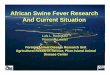 African Swine Fever ResearchAfrican Swine Fever Research ... · African Swine Fever ResearchAfrican Swine Fever Research And Current Situation Luis L. Rodriguez Research Leader 