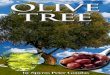 OLIVE TREE LARGE - Mr. Goudas Books TREE LARGE.pdfOlive Tree Booklet Dear Friends: I would like to reveal some important information about Olives and Olive Oil. Naturally, there are