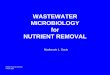 WASTEWATER MICROBIOLOGY for NUTRIENT REMOVAL Microbiology for... · 2014-11-18 · Factors Influencing Fermentation: Enhanced Biological Phosphorus Removal 1. Temperature Acid production