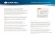 Minncare Cold Sterilant - cantelcanada.com...Minncare Peraceti c Acid Test Strips represent the leading edge of test strip technology. Designed by the producers of Minncare Cold Sterilant,