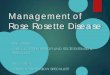 Management of Rose Rosette - Entomology and Plant of Rose Rosette 2015.pdf Management of Rose Rosette Disease (RRD) Research is in progress, so management recommendations will change