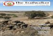 The Trailwalker - The Friends of the Heysen Trail...Email hugreenh@activ8.net.au Membership Information Joining Fee $10 Single $20 per year $30 per year Organisations $50 per year