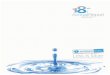Over the last four years, we have grown ... - Nepal SBI Bank · Annual Report 2010-11 1 Introduction Nepal SBI Bank was incorporated in Nepal on April 28, 1993, as a public limited