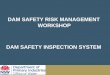 DAM SAFETY RISK MANAGEMENT WORKSHOP DAM SAFETY … · dam safety risk management workshop dam safety inspection system. 1. roles and responsibilities of dam owner 2. roles and responsibilities