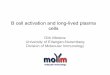 B cell activation and Ab production - Beyond Sciences...Division of Molecular Immunology B cell activation and long-lived plasma ... H.M. Jäck. IgM - Antigen receptor on immature