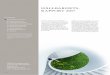 HÅLLBARHETS - RAPPORT 2017annualreport2017.coor.com/files/HALLBARHET_2017_SWE.pdfVerka för en inkluderande och långsiktigt hållbar ekonomisk tillväxt, full och produktiv sys-selsättning